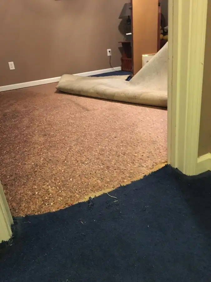 Carpet pad removal revealing water damage during Water Mitigation Services in Mexico