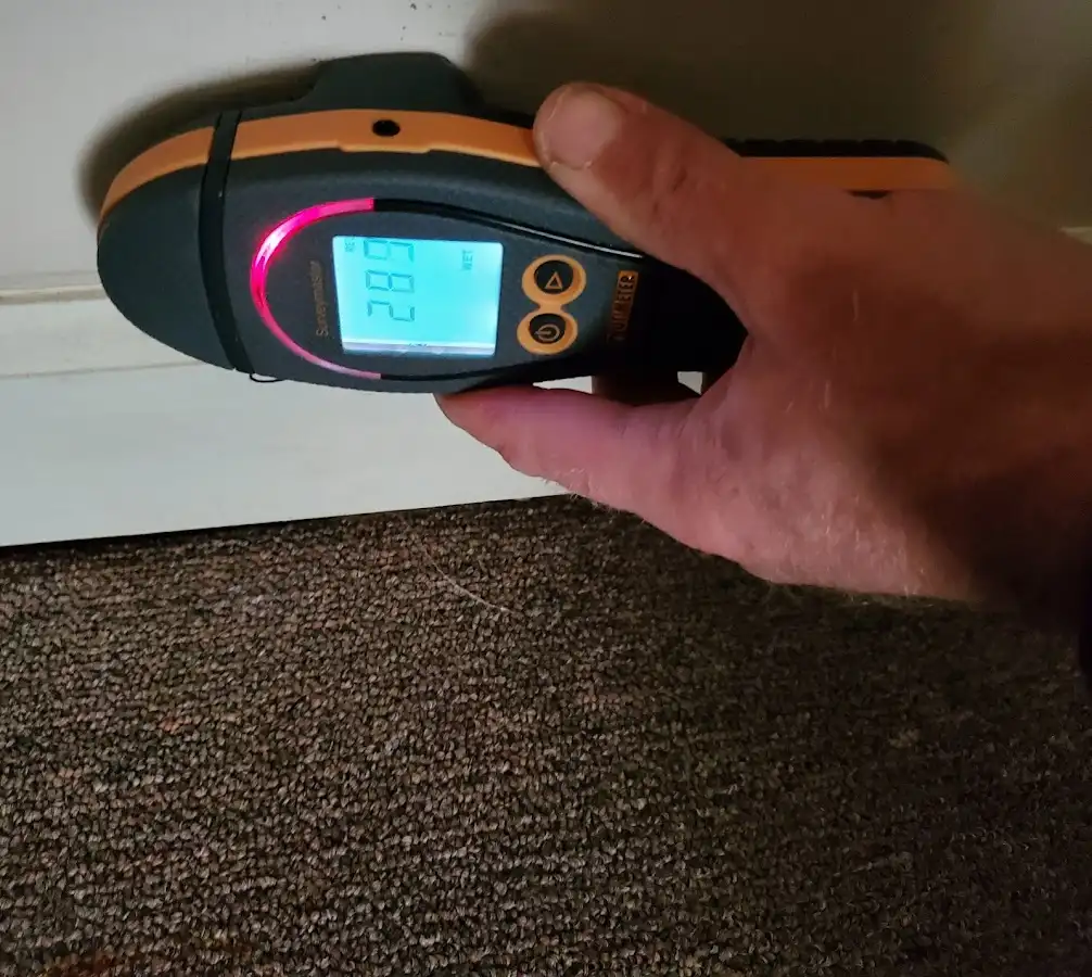 Moisture detection at baseboard during Burst Pipe Cleanup in Mexico
